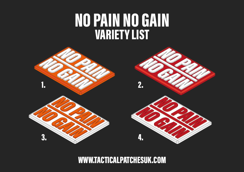 NO PAIN NO GAIN - Velcro Patch